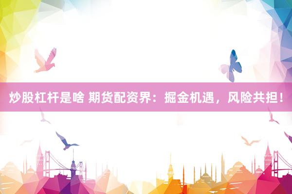 炒股杠杆是啥 期货配资界：掘金机遇，风险共担！