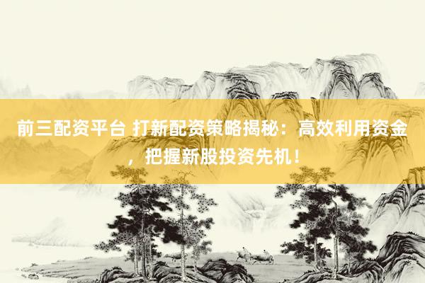 前三配资平台 打新配资策略揭秘：高效利用资金，把握新股投资先机！