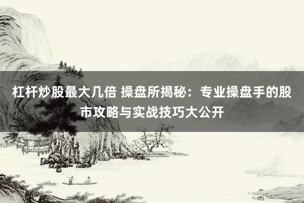杠杆炒股最大几倍 操盘所揭秘：专业操盘手的股市攻略与实战技巧大公开