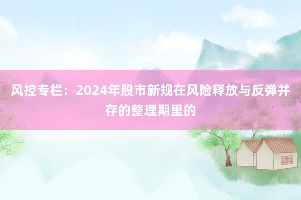 风控专栏：2024年股市新规在风险释放与反弹并存的整理期里的