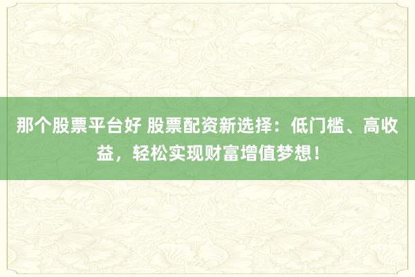 那个股票平台好 股票配资新选择：低门槛、高收益，轻松实现财富增值梦想！